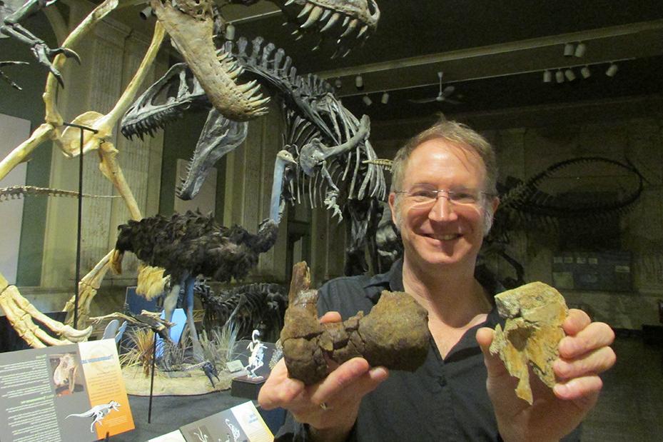 托马斯·卡尔教授(生物学、古生物学)拿着T形动物的胫骨和脚踝的一部分. rex.